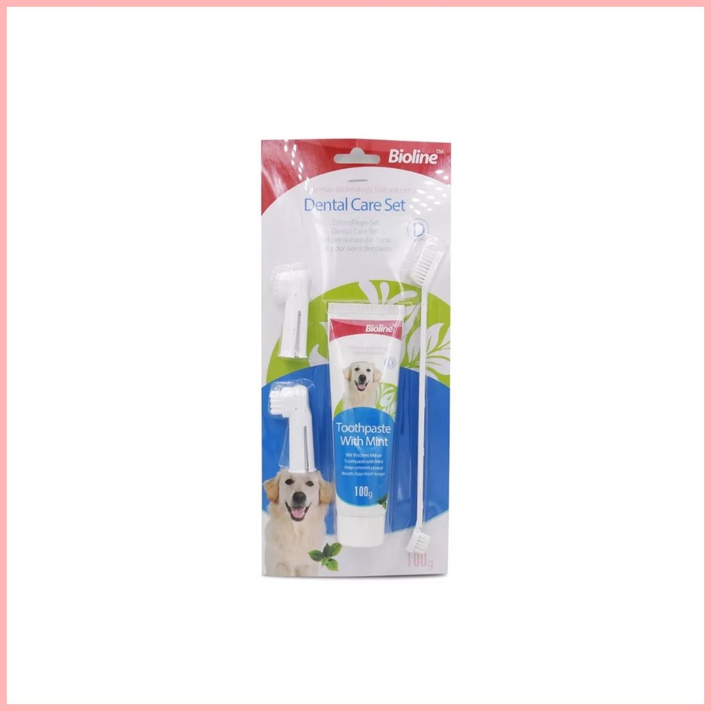 Bioline Dog Toothpaste & Toothbrush - Beef Mint Orange Chicken & Cat ...