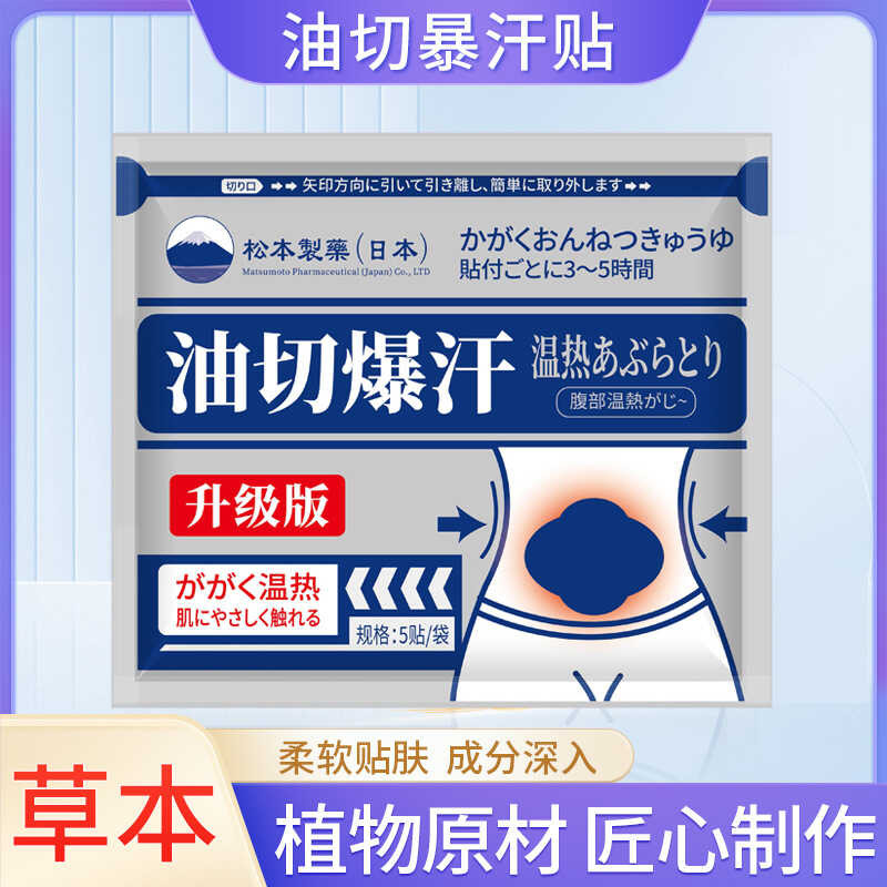 Japanese Matsumoto Pharmaceutical Ai Grass Patch Fiber Posture Patch ...