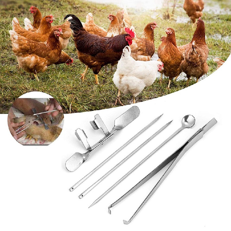 5Pcs/Set Chicken Capon Kit Stainless Steel Caponizing Set Castration ...