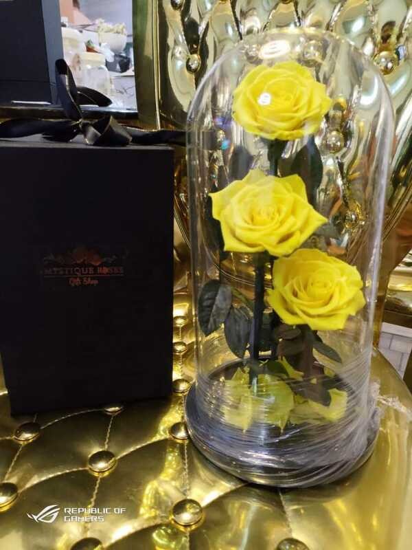 shopee seller LY Artificial Dome Glass May Artipisyal Rose Red Battery ...