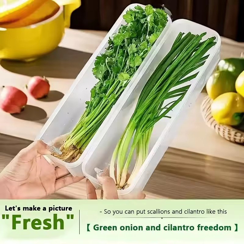 1/3/5Pcs Transparent Spaghetti Scallion Storage Boxes / Food Fresh ...