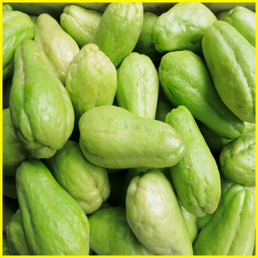 ☂ ∏ Baguio Benguet Fresh Sayote 1Kg | Shopee Philippines