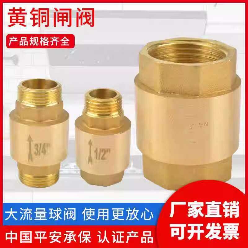 Brass check spring vertical one-way pipe meter 4/6 inner and outer wire ...