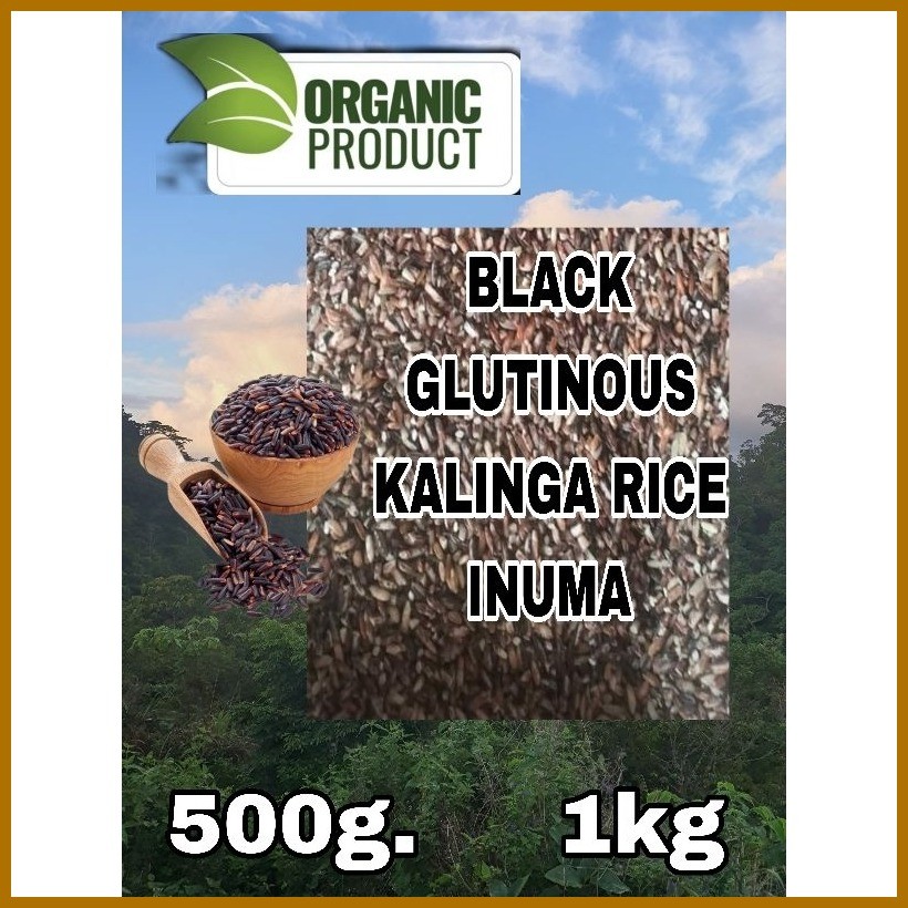 ORGANIC MALAGKIT BLACK GLUTINOUS RICE, KALINGA PROVINCE | Shopee ...