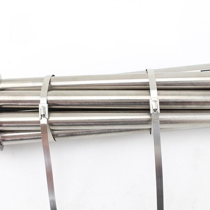 20/60/100Pcs Stainless Steel Fixed Straps / Multi-Purpose Cable Zip Tie ...