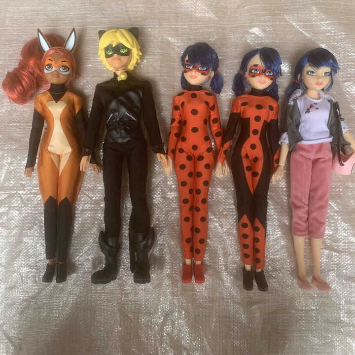 §∞ ∝∞ Genuine Bulk Ladybug Miracle Girl Ladybug Reddy Black Cat Doll ...