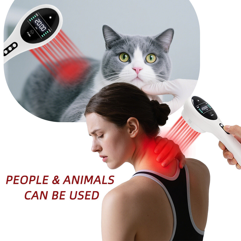 Dual Red Light Therapy for Joint Repair & Healing - Laser Physiotherapy ...