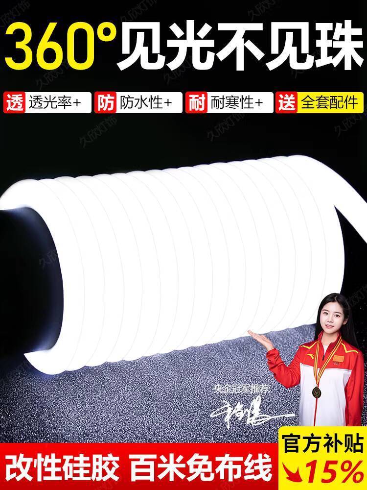 2026 LED Strip Light 220V Round Light Strip for Living Room Ceiling ...