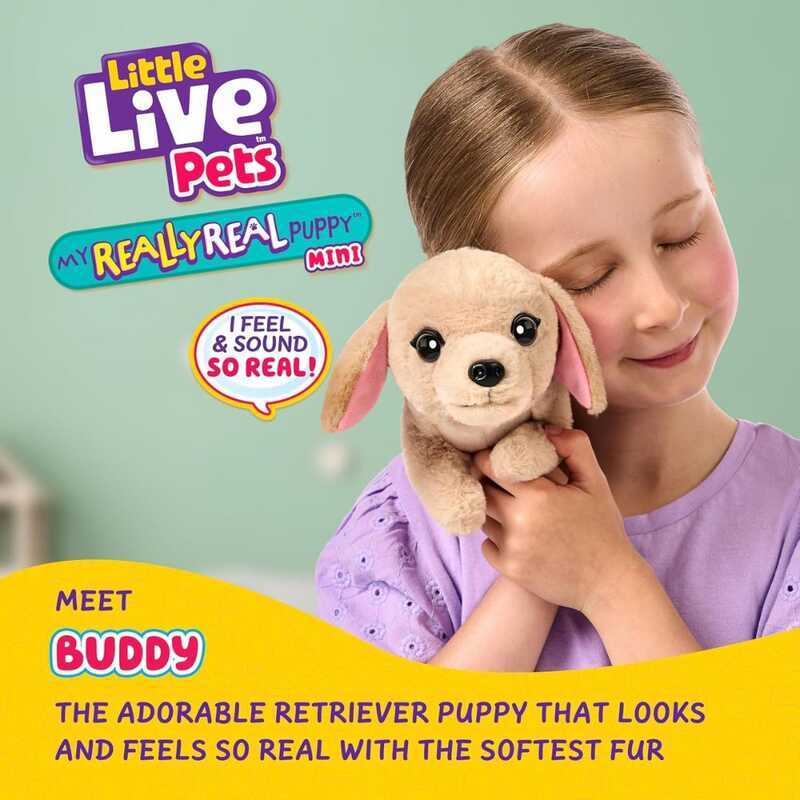 Little Live Pets My Really Real S2 Puppy Mini Buddy - Interactive Toy ...