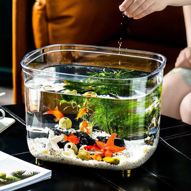 Living Room Small Mini Desktop Fish Aquarium Ecological Goldfish Home ...