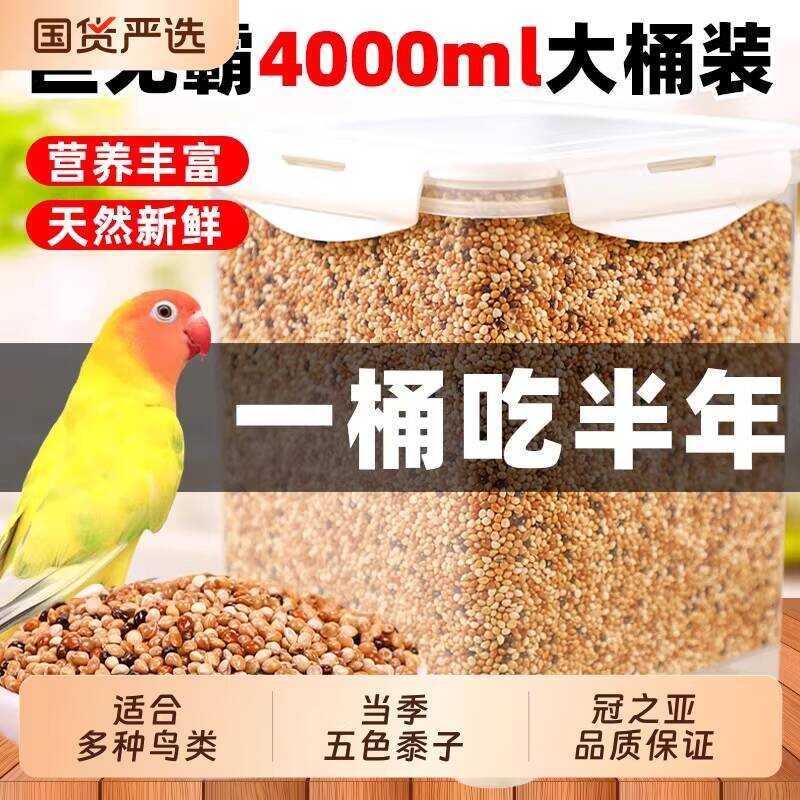 Parrot Five-Color Millet Feed Budgerigar Bird New Special Nutritional ...