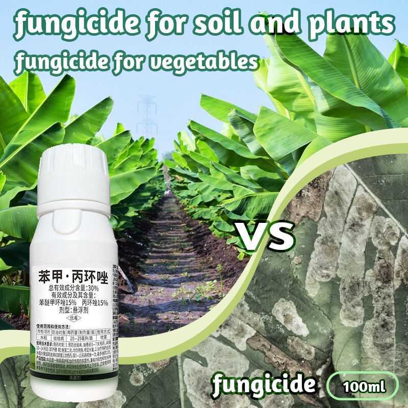 Plant Fungicide Sprays Systemic Protect Crops By Inhibiting Fungi Rice ...