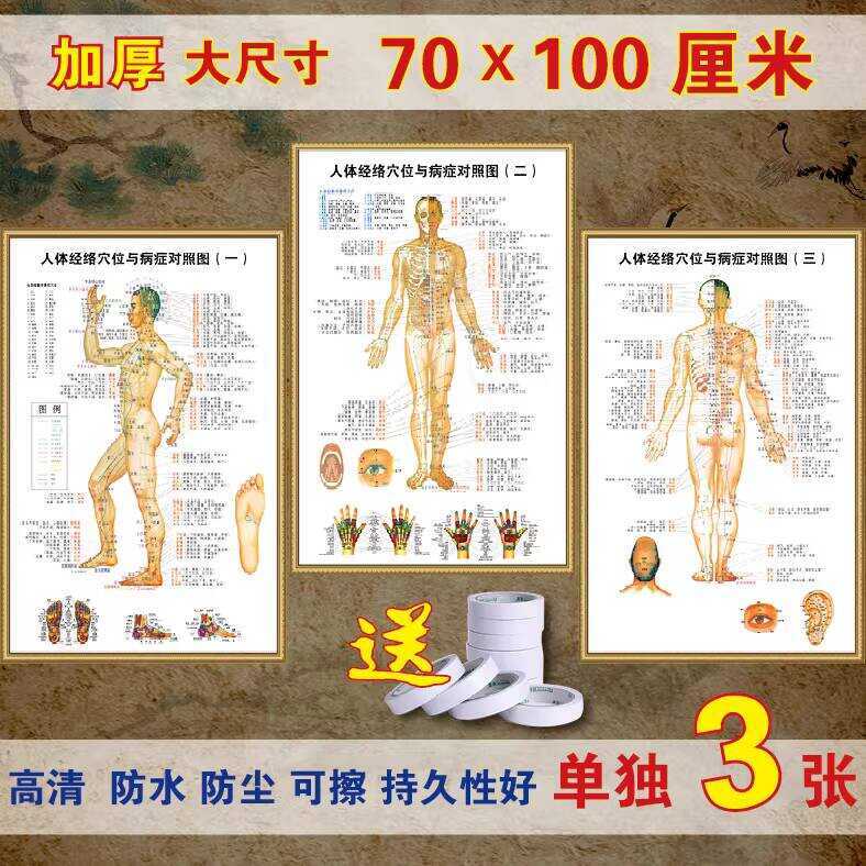 Extra Large 3 Sheets of Traditional Chinese Medicine Acupoint Diagrams ...