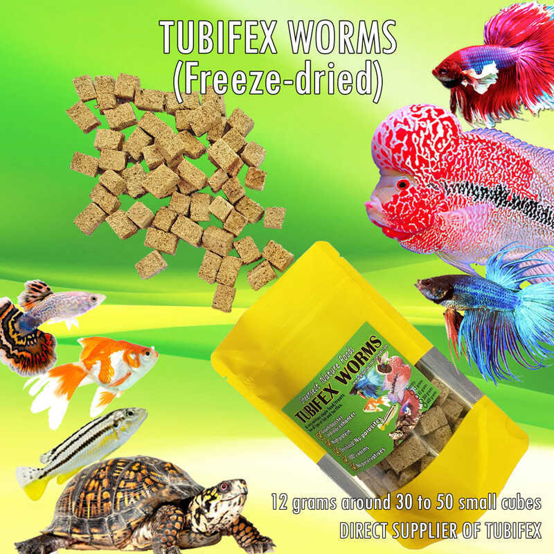 TUBIFEX Freeze Dried DIRECT SUPPLIER Pet Food For Fish Turtles ...