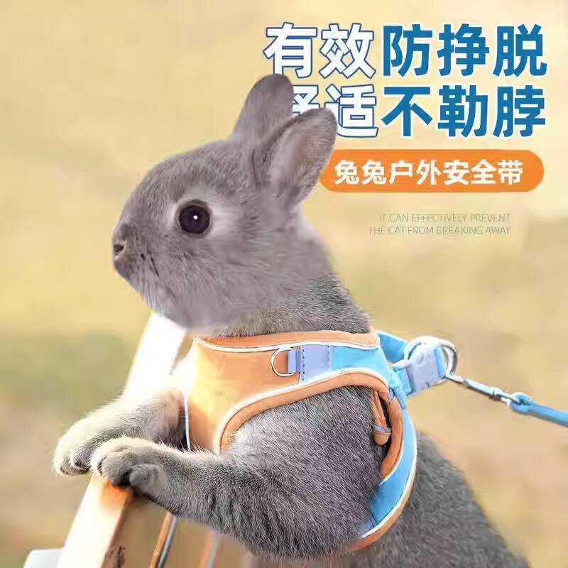 Rabbit Anti-Escape Walking Vest for Small Rabbits, Retractable Outdoor ...