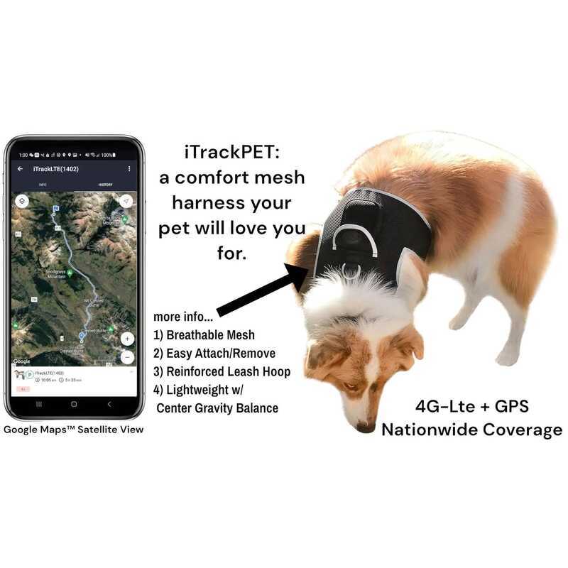 New XL Size Global Positioning System Pet Tracker, Equipped with Real ...