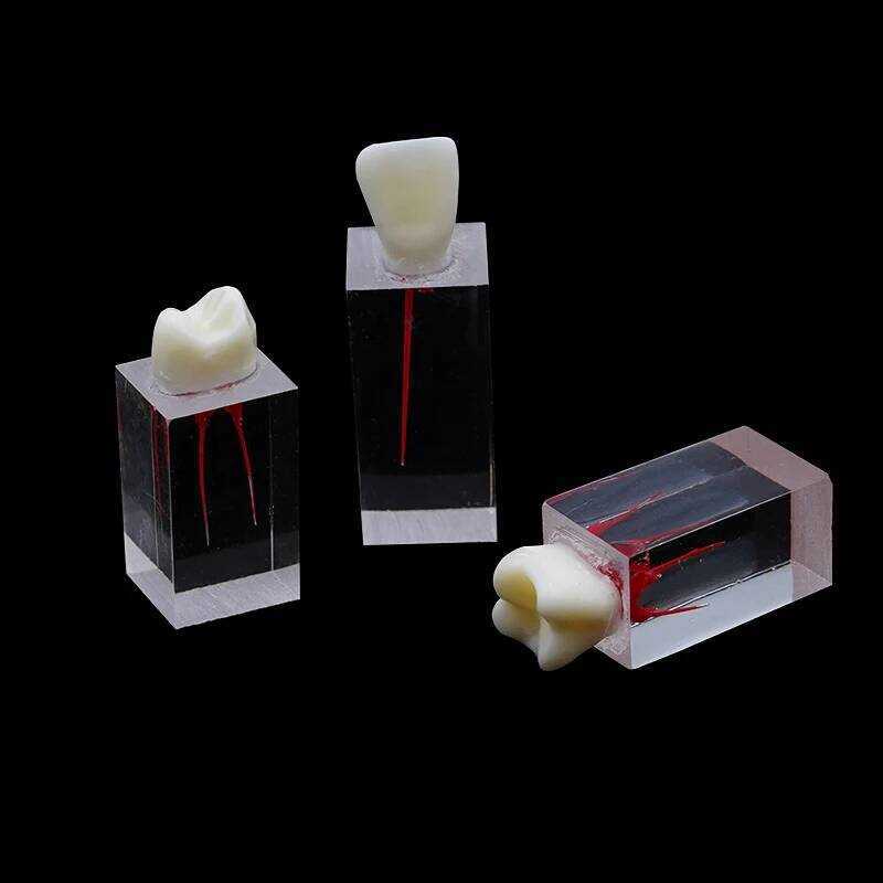 Endodontic 3Pcs Dental Root Canal Blocks Endo Pulp Cavity RCT Practice ...