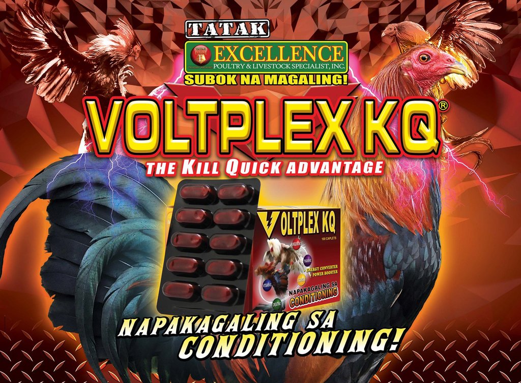VOLTPLEX KQ【1 ~ 10 pcs】Conditioning Supplement | Power, Stamina ...