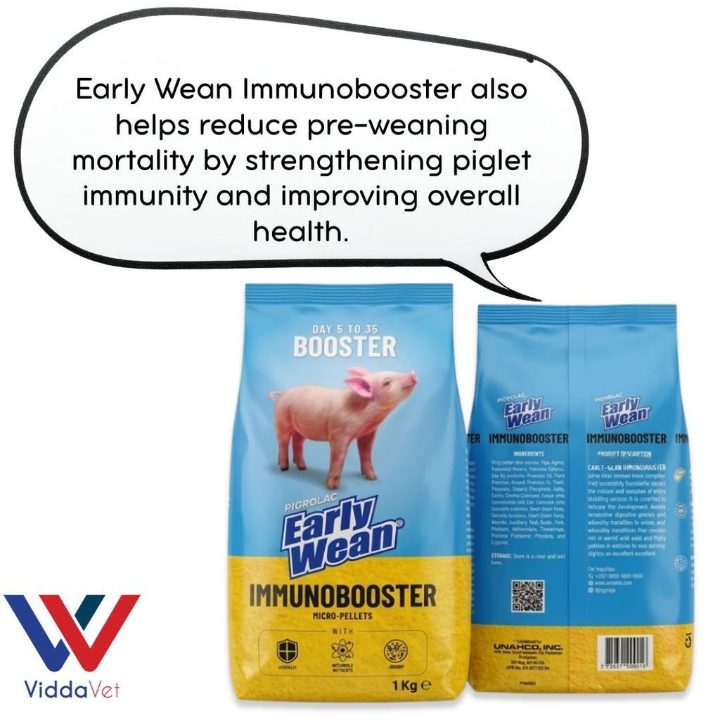 Pigrolac Early Wean 1KG Immunobooster Feed Supplement for Piglets ...