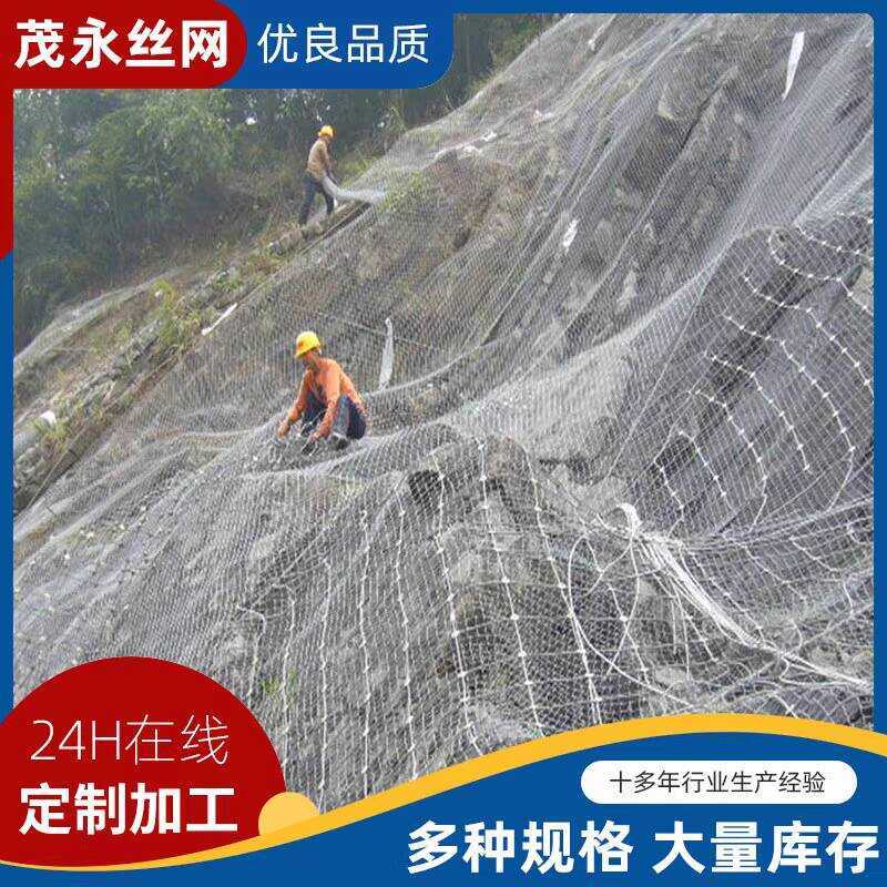 Active Flexible Steel Wire Rope S Slope Protection Net | Shopee Philippines