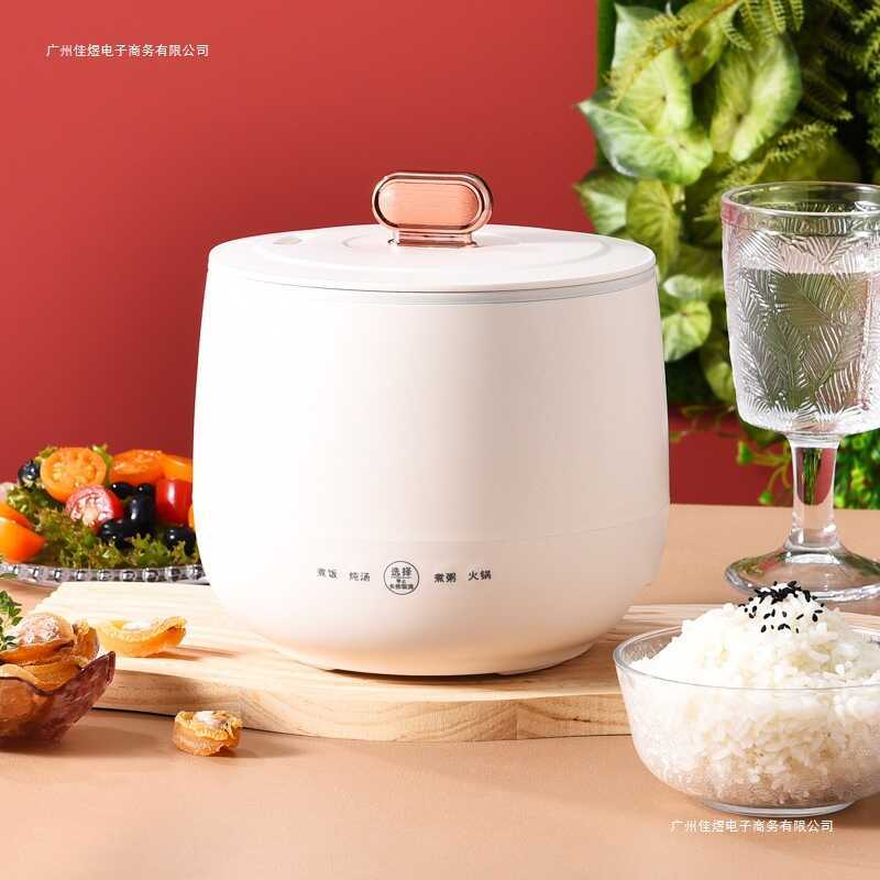 110V American Standard Rice Cooker Small Household Dormitory Single ...