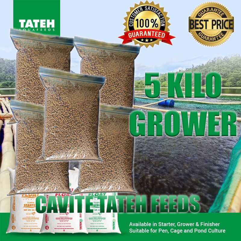 338 COD Grower TATEH Aquafeeds 5 KILO Tilapia, Hito, Bangus, Koi Etc ...