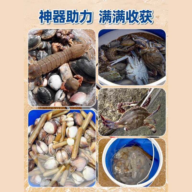 Beachcombing Tool Set Kids, Special Shovel Digging Sand, Clam Rake, Sea ...