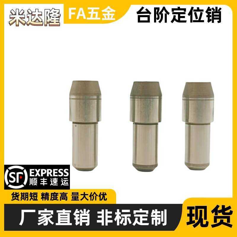 Positioning Step Spherical Conical Angle Type Diamond Pin YBP YBR01 02 ...
