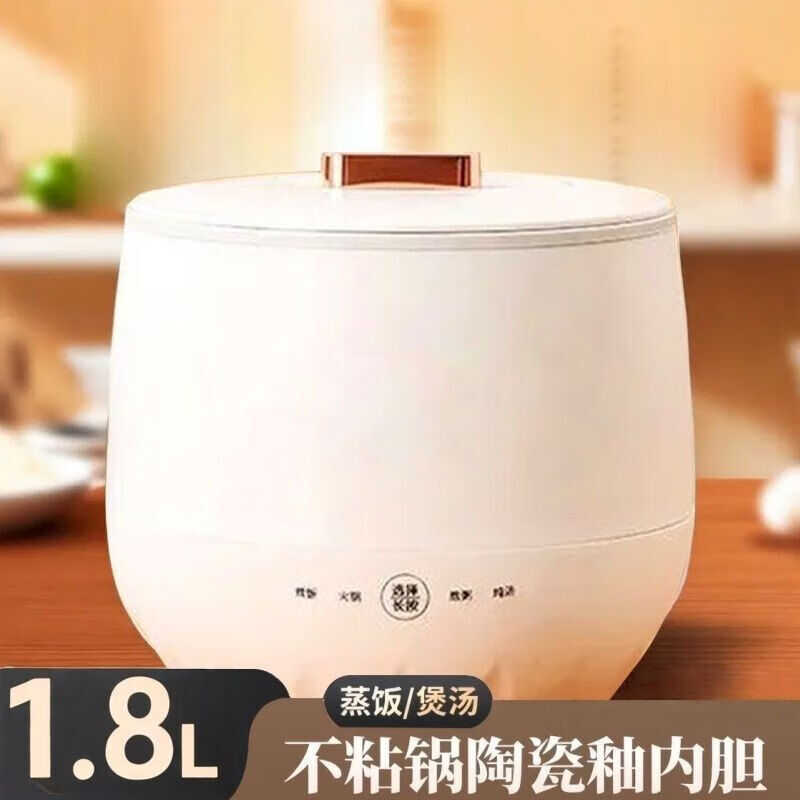 Multifunctional Electric Cooker Mini Rice Cooker Electric Stew Pot ...