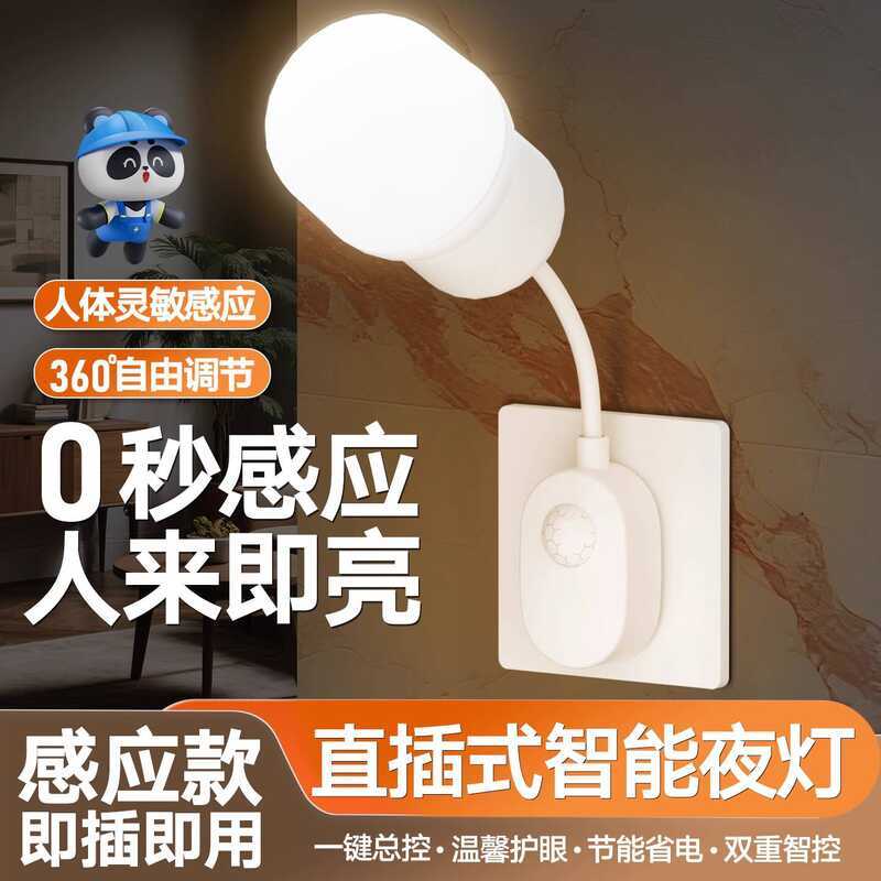 Nighttime Human Body Automatic Sensor Light, Lights Up When People ...