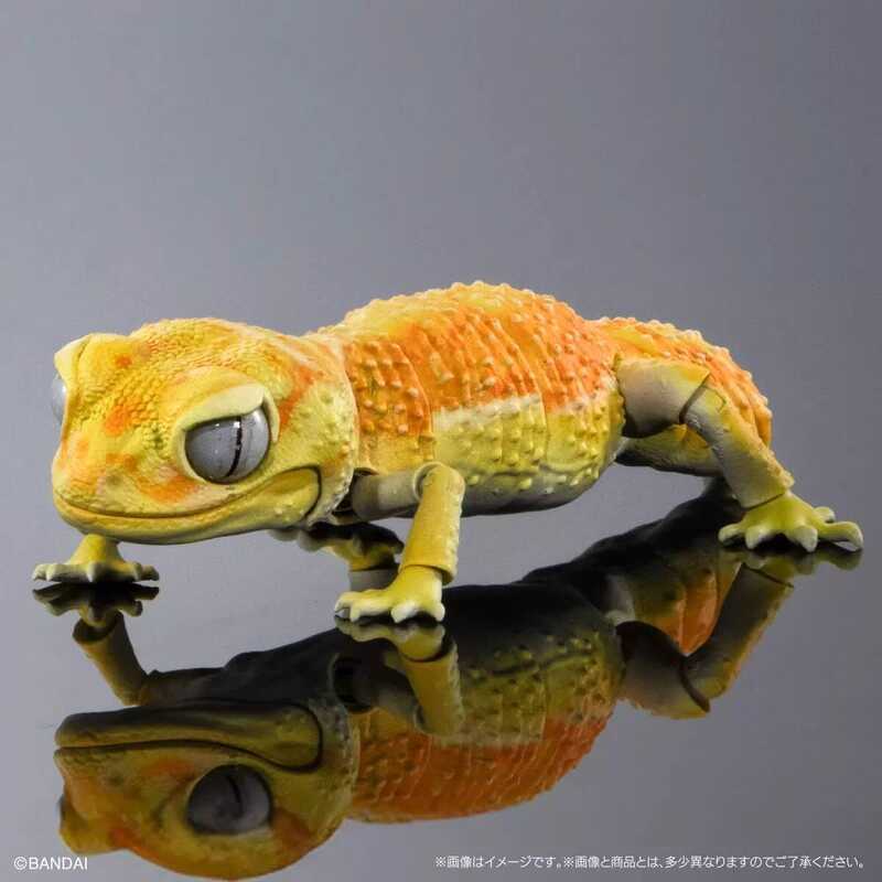 Bandai Official Gashapon Biological Encyclopedia Pythons Gecko ...