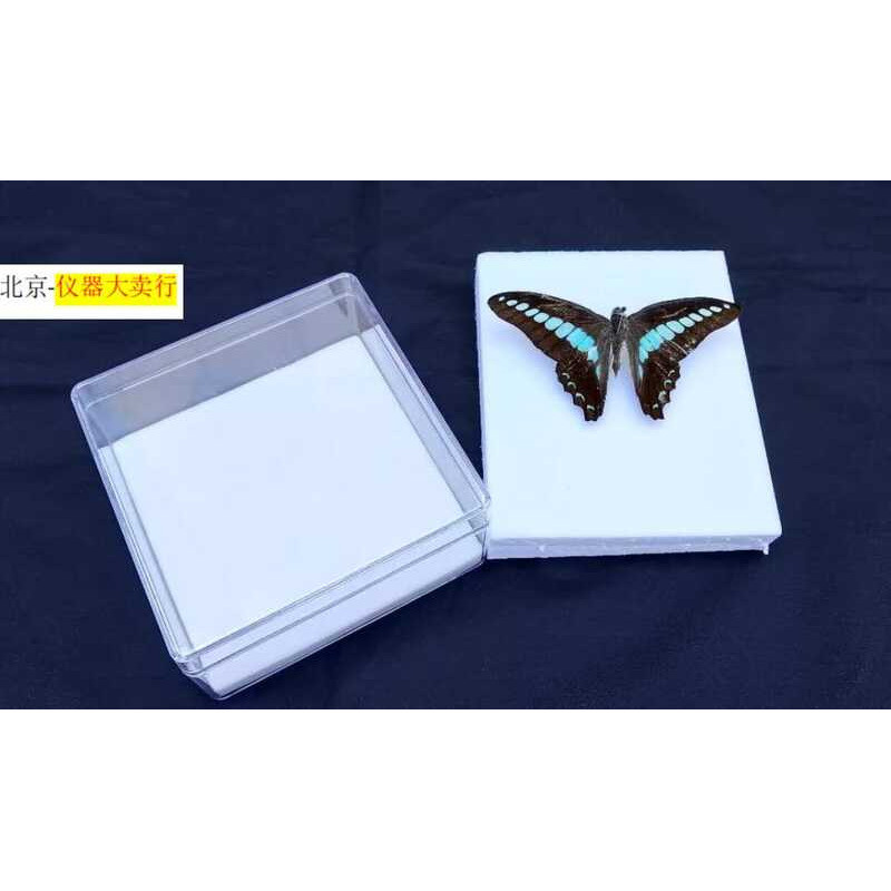 Transparent Box/Acrylic Box/Insect Specimen Beijing Insect Box | Shopee ...