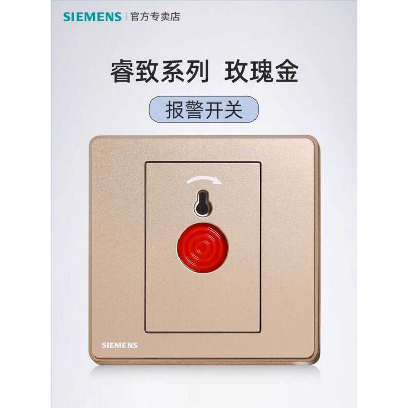 Siemens Rui Zhi Fire Alarm Panel Call Hand Report Manual Reset Key ...