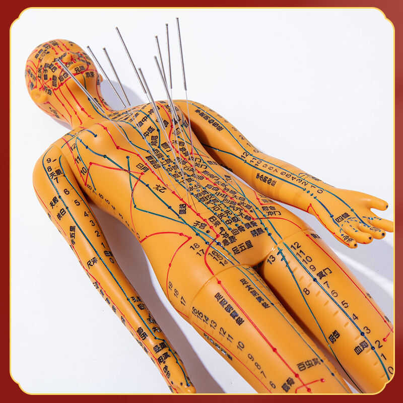 Portable Acupuncture Point Human Body For Practice Needling Skin Ear ...