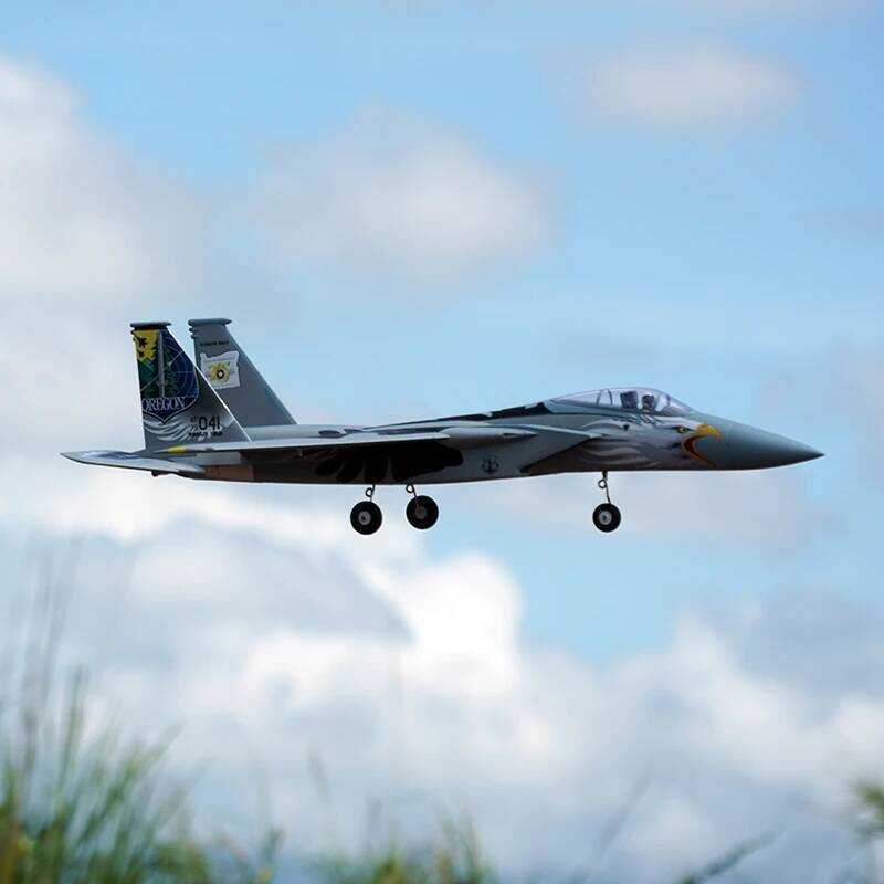 W Xfly F-15 Tom Fighter Remote Control Aircraft With Variable Sweep ...