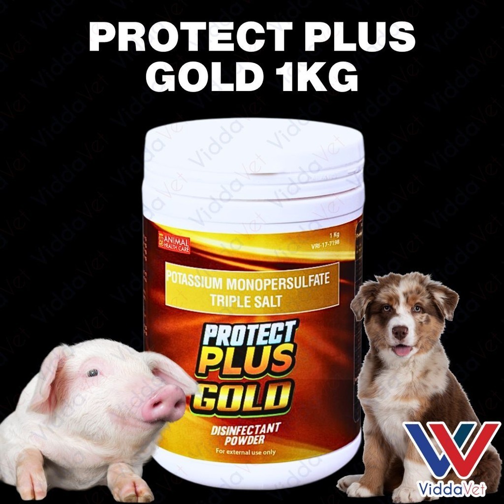 Protect Plus Gold 1KG Pet and Livestock Disinfectant for Animals ...