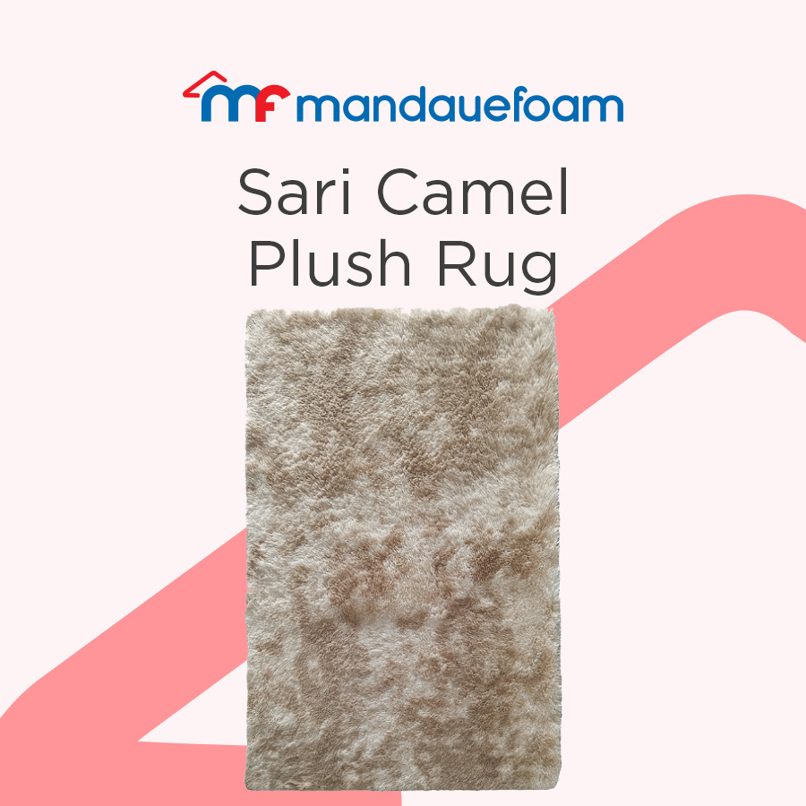 Mandaue Foam Sari Caramel Plush Rug | Shopee Philippines
