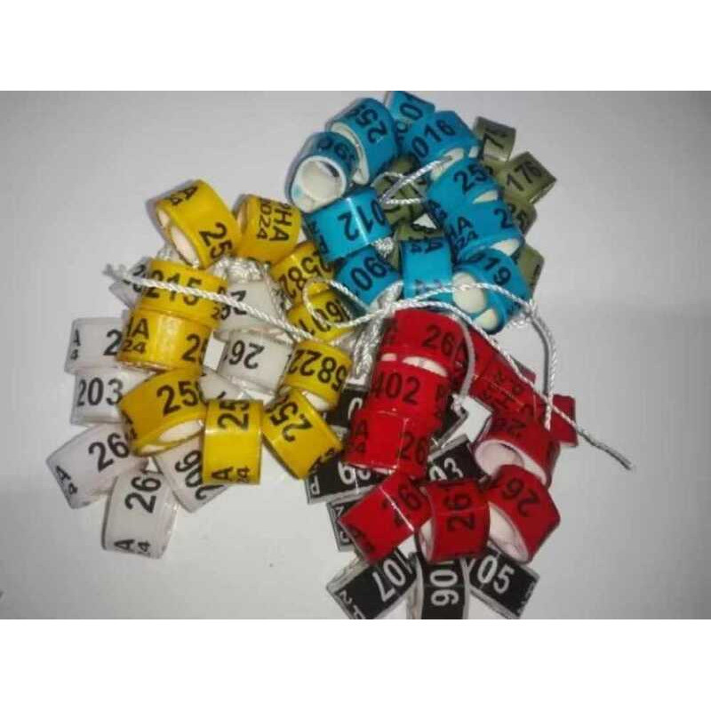 10pcs for 130pesos Comring pha oval 8mm 2025 2026 2027 | Shopee Philippines