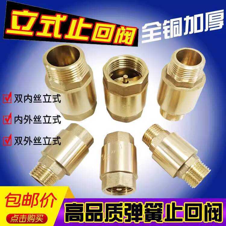 Brass Vertical Check Spring One-Way Stop Valve Tap Water Pipe Internal ...