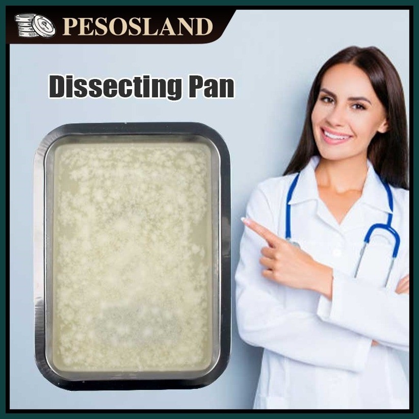 ↓ ∯ Stainless Steel Dissecting Pan With Wax For Laboratory - 19*26cm ...