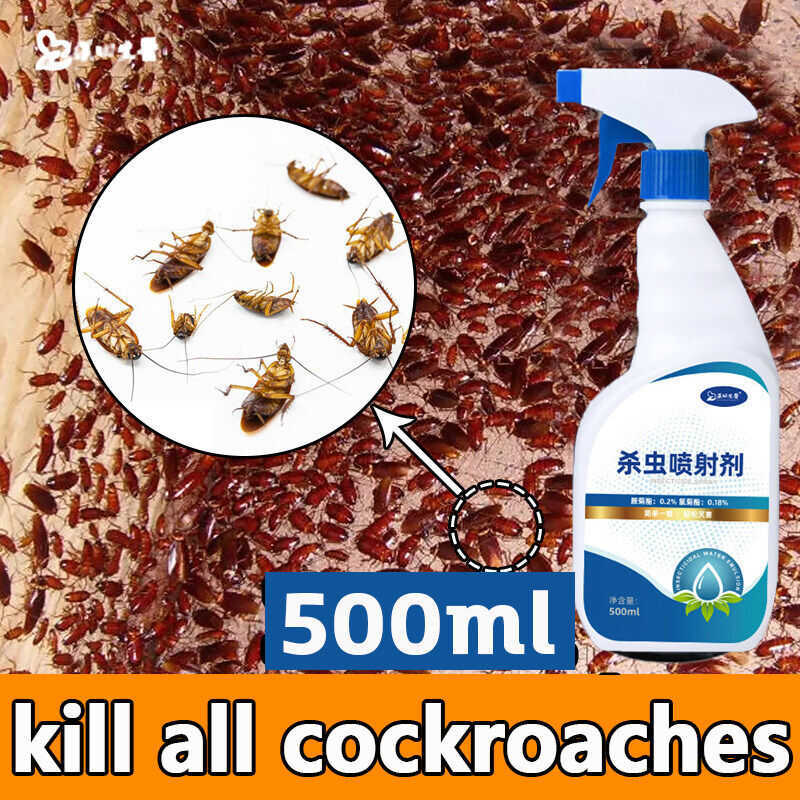 10 Years Free Cockroach Bait Trap Plant Extracts Safe And Non-Toxic ...