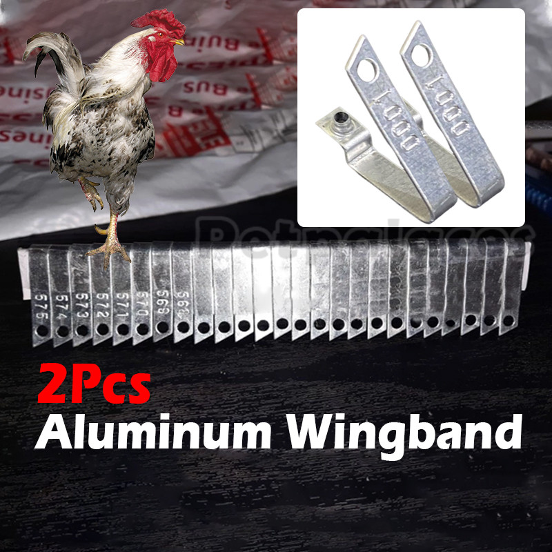 Wingband Original Silver Glow Fighting Cock Feathered Aluminum Wing ...