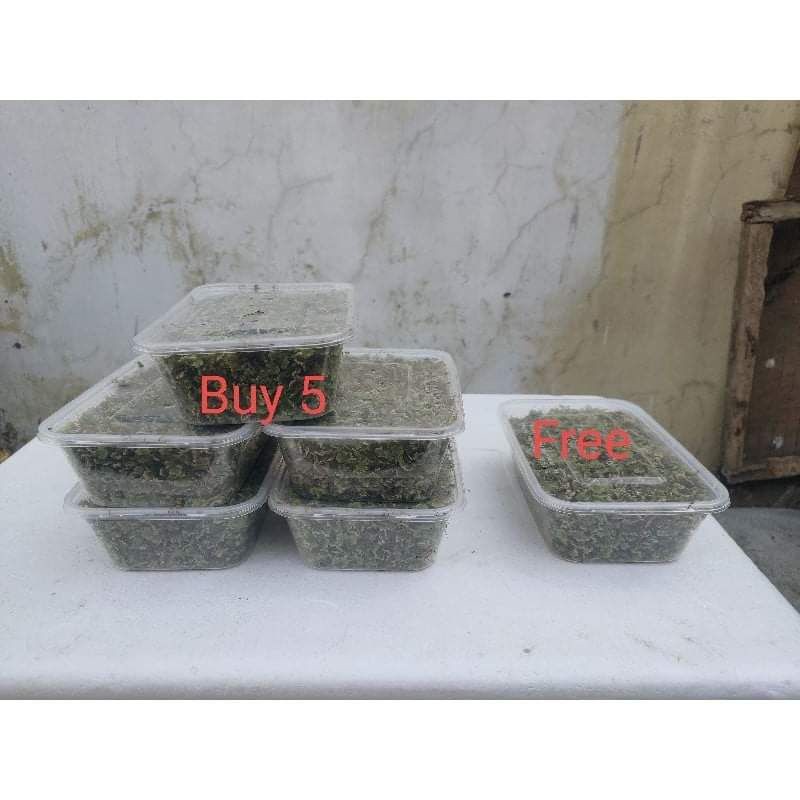 Azolla 5+1 packs (500 ml) | Shopee Philippines