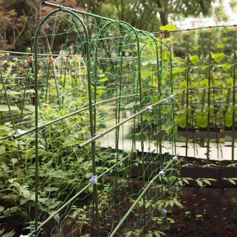 Gardening Rack Grapevine Loofah Cucumber Climbing Frame Vegetable Plant ...