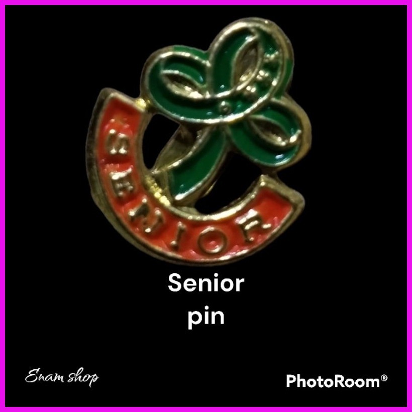 ⊙ GSP/BSP Accessories (Pin, Pink holder, Star, Twinkler, Junior pin ...