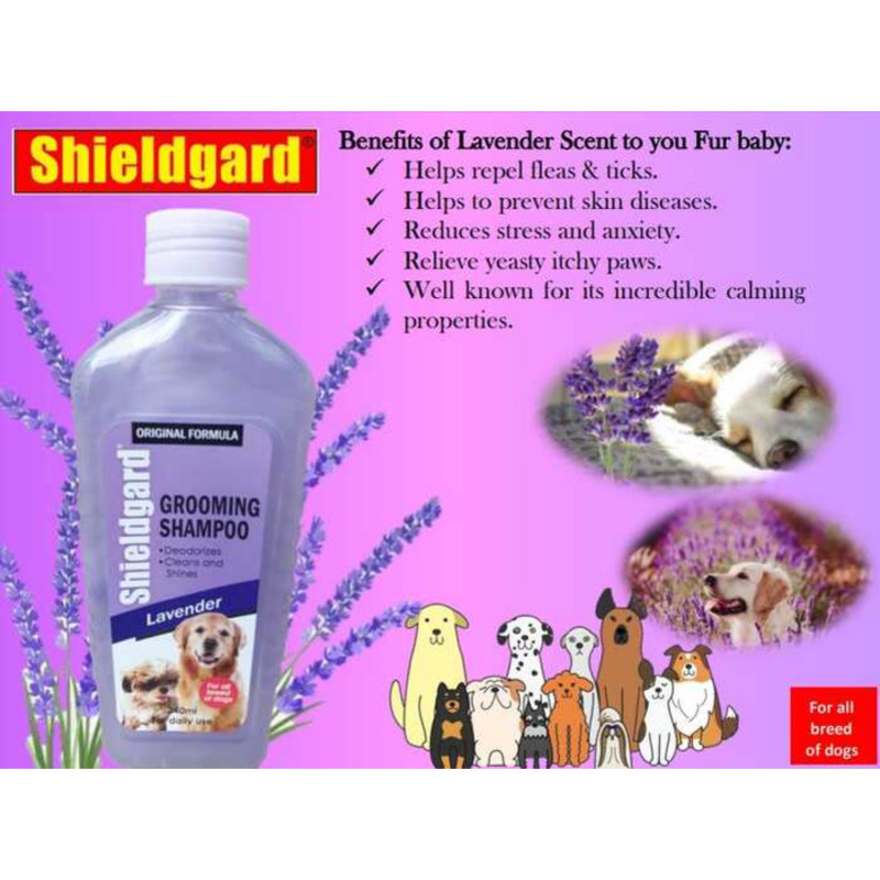 Lavender Scent Shieldgard Dog Grooming Shampoo 240Ml Eeb | Shopee ...