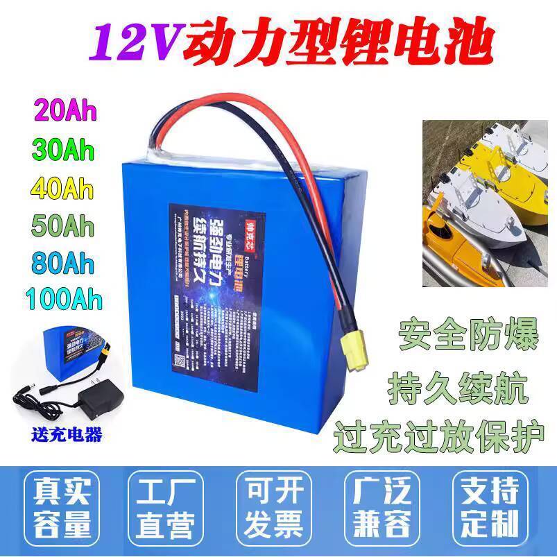 12V Lithium Battery Polymer Large Cell 100A for Nesting, Fishing Net ...