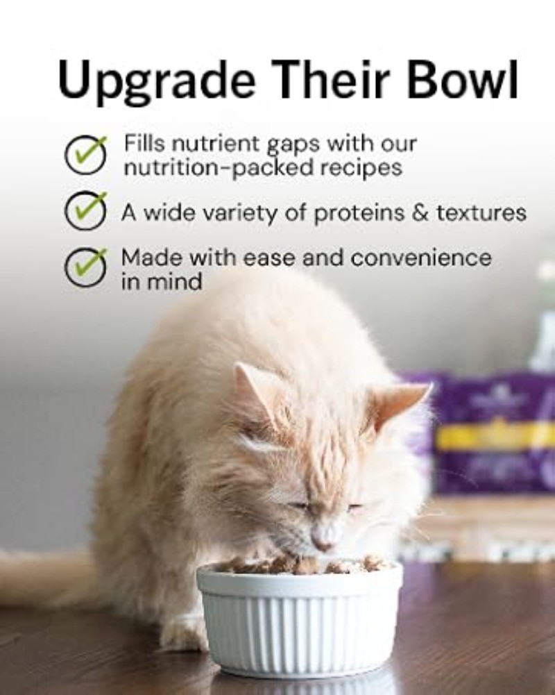 Picture of Stella & Chewy's Dry Cat Food Grain-Free High Protein Small Kibble ...