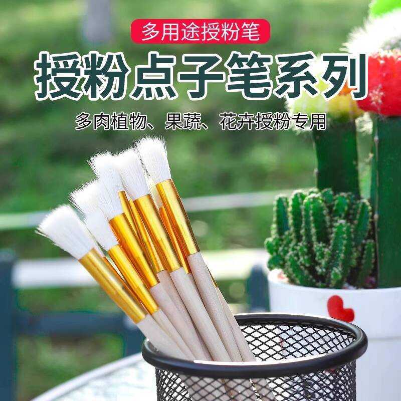 Manual Pen Pollinator Strawberry Succulent Tomato Fig Tree Tool Pollen ...