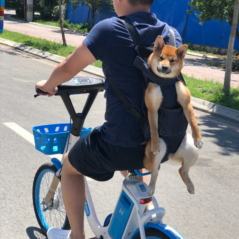 Daigou Large Denim Chest Dog Backpack Pet Cat French Fighting Corgi ...